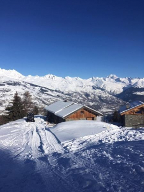 L'Alpage des pistes - Chalet skis aux pieds à La Plagne